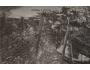 DOKSANY ZÁMEK - ZAHRADA 1910 NAKL. A FRANK °H358