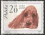 Polsko 1963 Pes kokršpaněl, Michel č.1374 **