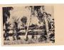 TROSKY =rok1935*a-3525