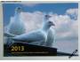 Kalendářík 2013 - www.kapesnekalendare.websnadno.cz *236