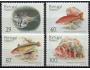 Madeira-ryby-129/132 **