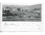 MIROVICE / r.1900 / M385-19