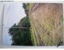 Fotografie parní lokomotivy 354.1217 *3138