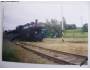 Fotografie parní lokomotivy 354.1217 *3142