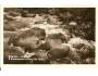 VYDRA / ŠUMAVA /rok1947?*AB1391