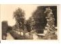 KUKS = KUKUS /SOCHY M.BRAUNA /r1925?*AB1508