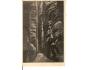 TEPLICE NAD METUJÍ / SKÁLY /r1946?*AB1545