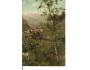 ŠÁRKA + PODBABA / PRAHA / r1914?*AB1572