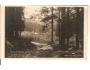 CHALUPY POD OSTRÝM / ŠUMAVA / r1925?*AB1643