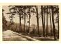 HRAD LIPNICE NAD SÁZAVOU / r.1933?*A767