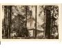 ZELENÁ HORA / ŽĎÁR NAD SÁZAVOU / r.1949?*A769