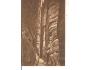 TEPLICE SKÁLY / BROUMOV /rok1922?*A1127