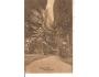 TEPLICE SKÁLY / BROUMOV /rok1922?*A1130
