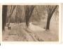 LÁZNĚ PODĚBRADY + ALEJ /rok1930?*A1205