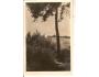 SV.VAVŘINEČEK / FOTO TAUBER / ŠUMAVA /rok1950?*A1314
