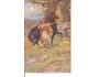KŮŇ = KONĚ + VLASTA/mal.ČERNÝ /rok1920?*A1486