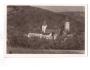 KŘIVOKLÁT HRAD cca r.1945 ***53873K