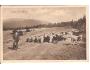 RADHOŠT +OVCE / BESKYDY/r1918?*AA2424