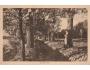 ŠTĚTÍ ALEJ / ROUDNICE = rok1925?*ac2219