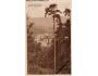HORNÍ BUBÍ= DUBÍ= KRUŠNÉ HORY/TEPLICE =rok1925*ac2590