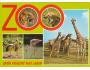 ZOO DVŮR KRALOVÉ= ŽIRAFA+VLK+JEŘÁB+ATD=rok1960-90*UF2332