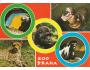 ZOO PRAHA=PAPOUŠEK+HROŠÍK+GORILA+GEPARD=rok1960-90*UF2333