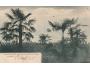 ABBAZIA = JADRAN =rok1905?*kc6662