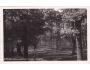 ŠTĚKEŇ PARK=STRAKONICE /rok1939*AA8553