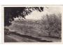 LHENICE= ŠUMAVA =rok1948*kc13436