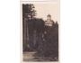ŠUMAVA=PANCÍŘ=CHATA J.MATUŠE=KČST=rok1932?*kc13623