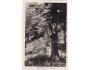 ŠUMAVA=ČERCHOV=HANOVKA+POŠTOVNA RAZÍTKO=rok1930?*kc13640