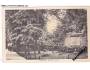 VODŇANY=ZEYEROVY SADY=STRAKONICE=rok1925*bf5386