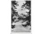 ŽĎÁR NAD SÁZAVOU-ZÁMEK /r.1946 /M297-68