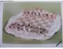 Pohlednice šachů - porcelánové muzeum Míšeň *5099