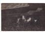 HRAD CHOUSTNÍK=Z LETADLA č19 VZADU=KČST=rok1925*a-3661