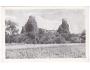 TROSKY=rok1935*a-3672