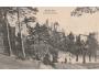 BOSKOVICE HRAD r. 1914 NAKL. A. BRZICKÝ °HD850