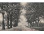 HOŘOVICE ZÁMECKÝ PARK r 1906 NAKL. O. SCHMIDT °HD939