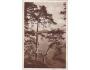 DOKSY=MACHOVO JEZERO=rok1931*R2478