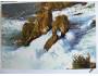 Pohlednice - Rheinfall *5360