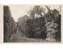 KUKS ULIČKA LÁSKY r. 1927 FOTO K. KRIEGLER ***HG439