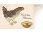 438659 kresba R. Bláha