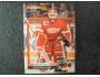 Tim Cheveldae 1991/92 Detroit Red Wings, č. 251