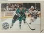 Neil Wilkinson 1991/92 San Jose Sharks č. 229
