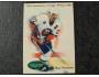 Ray Ferraro 1992/93 New York Islanders, Parkhurst č. 499