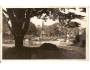 OPAVA / TROPPAU /r.1931?*a3