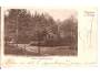 KLATOVY /r.1901?*a59