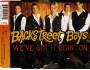BACKSTREET BOYS - We´ve got it goin´ on