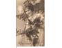 MILENCI / ŽENA /r1929?*ad47