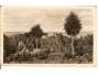 BOSKOVICE / HRAD /r.1950?*a419